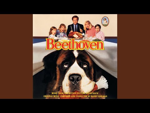 download lagu mp3 mp4 Paul Shaffer Roll Over Beethoven, download lagu Paul Shaffer Roll Over Beethoven gratis, unduh video klip Paul Shaffer Roll Over Beethoven