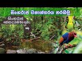 සිංහරාජ වනාන්තරය බලන්න යමු | Sinharaja Forest | sinharaja wanantharaya | s
