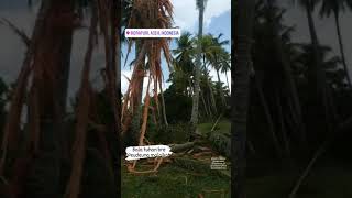 Download lagu disambar petir pohon kelapa dan sapi mati..pedang malaikat mp3