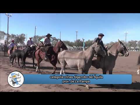 Algarrobo del Aguila La Pampa 5 de abril 2025 primera parte