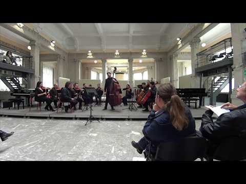 Federico Bagnasco - Le Trame del Legno (Extracts from the Orchestral version)