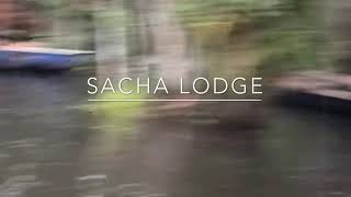 preview picture of video 'Sacha Lodge - Amazon Rainforest'