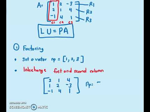 LU Factorization with maximum column pivoting