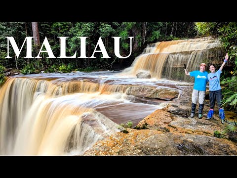 Sabah's lost world trek! Borneo's oldest rainforest, untouched by humans