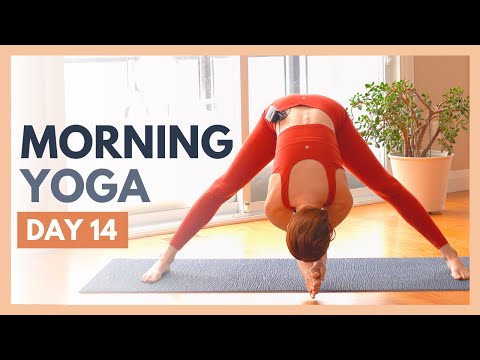 DAY 14: CELEBRATE - 10 min Morning Yoga Stretch – Flexible Body Yoga Challenge
