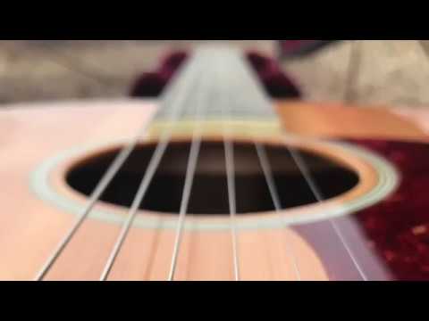 Taylor 518e - 2014 (006)