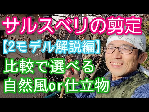 冬に剪定する植物はどれ？ 1月と2月に剪定を好む種  庭園