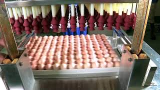 ডকুমেন্টারি