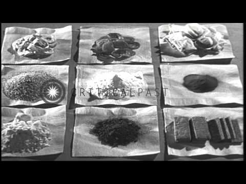 Ski equipment and precooked food items carried by each ski trooper displayed on a...HD Stock Footage