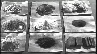 Ski equipment and precooked food items carried by each ski trooper displayed on a...HD Stock Footage