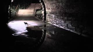 Ryuichi Sakamoto - Aoneko no Torso (Piano Solo)