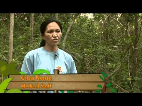 The Orangutan Rescue Station Part 5/5
