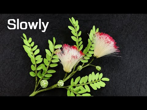 ABC TV | How To Make Powder Puff Flower (Slowly) - Craft Tutorial
