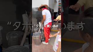 初めてのタホを買うよ！#cebu #familyvlog #vlog #親子留学 #セブ留学 #英語 #セブ島 #セブ島留学 #親子留学