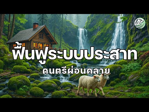 ฟื้นฟูระบบประสาท ดนตรีผ่อนคลายสมอง ดนตรีบำบัด ช่วยคลายเครียด หยุดคิดมากเกินไป relaxing music