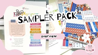 2024-2025 Erin Condren Life Planner Sampler Overview - Testing Stickers - Choose Your Planner