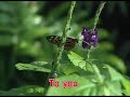 47 HOPELESSLY DEVOTED TO YOU Olivia Newton John YFLS
