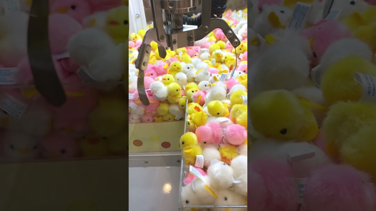 ぴよりーな リベンジ