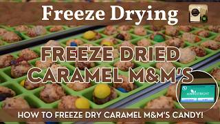 Freeze Dried Caramel M&M's | Harvest Right Freeze-Dried Candy | How to Freeze Dry M&M's Step by Step