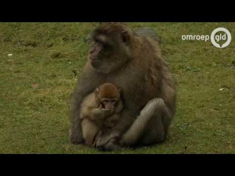 GLD VANDAAG 30 december 2016