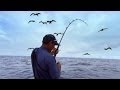 Chris Rea - Gone Fishing