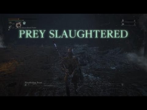 Bloodborne™ - Bloodletting Beast Chikage kill (Great Pthumeru Ihyll)