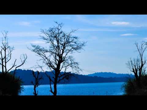 Relaxing Nature Sounds, Dawn Chorus Birdsong