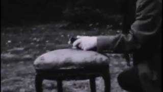 Anne Clark -  Poem without words