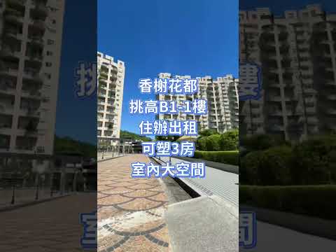 照片