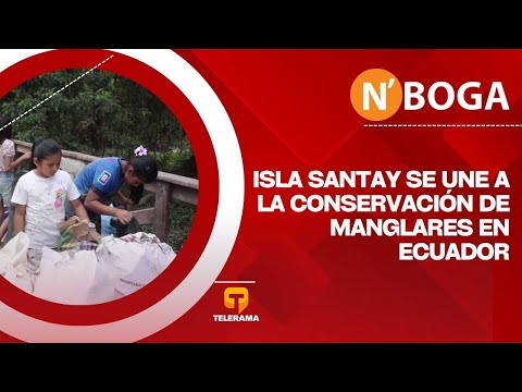 Isla Santay se une a la conservación de manglares en Ecuador