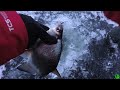 Велика Риба Клює на Гірлянду! 5 Видів Риб на Чорт з Підвисним Трійником!  Риболовля в Україні