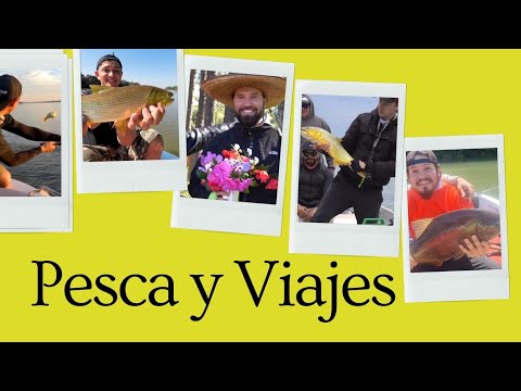 Como pescar sin hacer amigos?! #pesca #viajes #amigos #goya #corrientes #resistencia #chaco