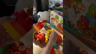 Конструктор пластиковый "Сафари" 20 дет Baby Blocks
