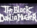 The Black Dahlia Murder - Everblack, The Solos ...