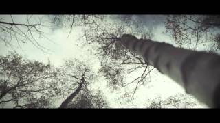 Solomon Grey - Glas / Green (featured in Louder Than Bombs)