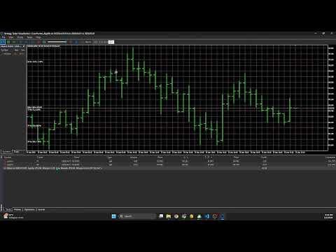 Video CuanHunter Algo EA