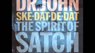 I’ve Got The World On A String (feat  Bonnie Raitt) -  Dr  John