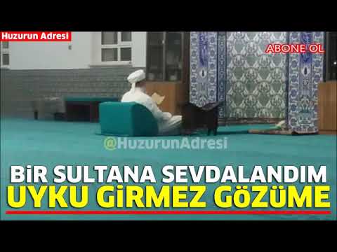 Bir sultana sevdalandım uyku girmez gözüme - Müziksiz ilahiler