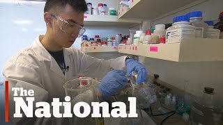 Canadian teen discovers method to turn waste water into electricity