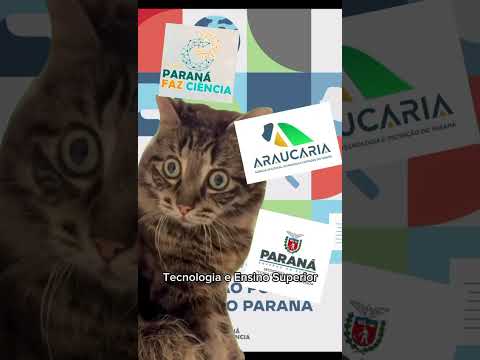 Já ficou sabendo? 🙀 #ufpr#gatinhos #divulgaçãocientífica #pesquisa #paraná #agênciaescolaufpr