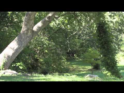 Aaron Carrasco Montage