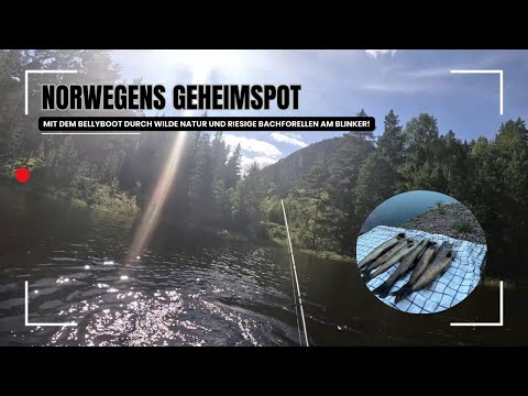 Norwegens Geheimspot: Mit dem Bellyboot durch wilde Natur und riesige Bachforellen am Blinker! 🛶🐟🌄