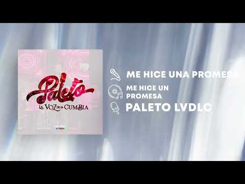 Me Hice Una Promesa (Lyric) - Juan Carlos Tapia "Paleto" | LVDLC