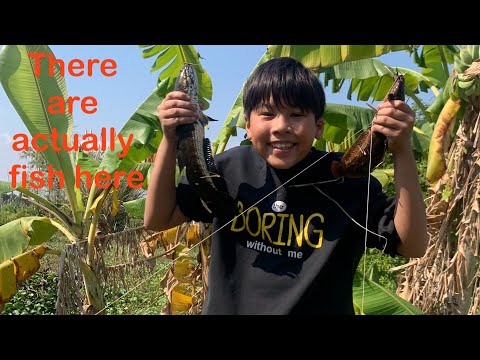 No One Fishes Here… Until Now