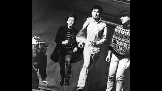 The Chameleons-Return Of The Roughnecks (Live 8-11-1984)
