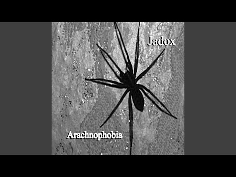 Black Spider's Big Girl Groove