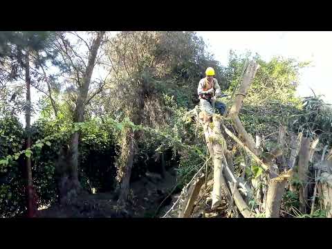 Video 1