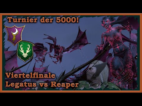 Viertelfinale im Turnier der 5000! Waldelfen vs Dunkelelfen - Match 5 Total War: Warhammer 2