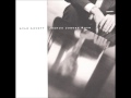 Lyle Lovett-Flyswatter Icewater Blues