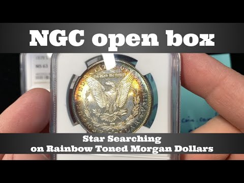 NGC open box coin grade results - toned Morgan dollars looking for star designation, WI low leaf 25¢
